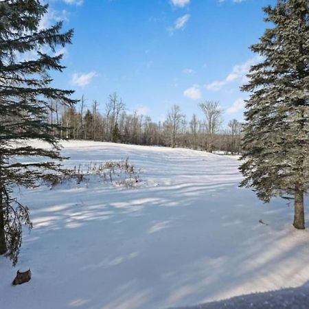 Trail Side Access Retreat I Alpen Villas At Powderhorn Mountain Bessemer Exteriör bild